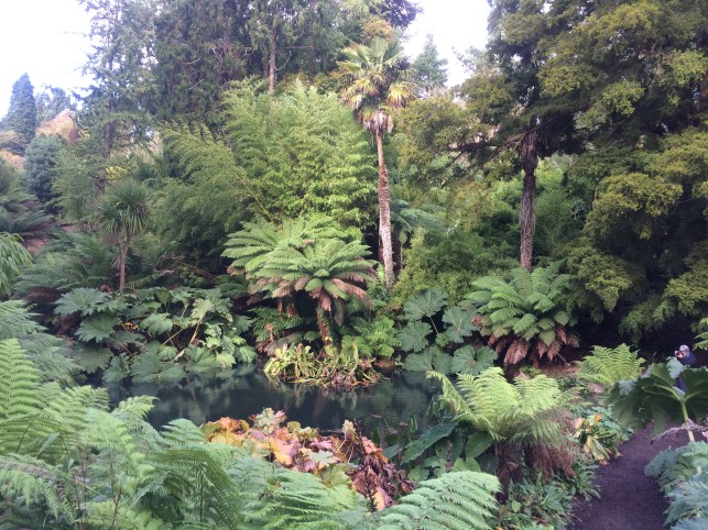 Cornwall is a great destination for a staycation