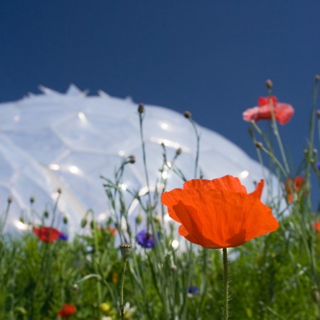 Cornwall is a great destination for a staycation