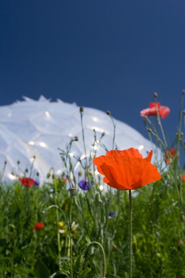 Cornwall is a great destination for a staycation