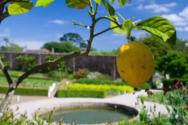 Cornwall is a great destination for a staycation