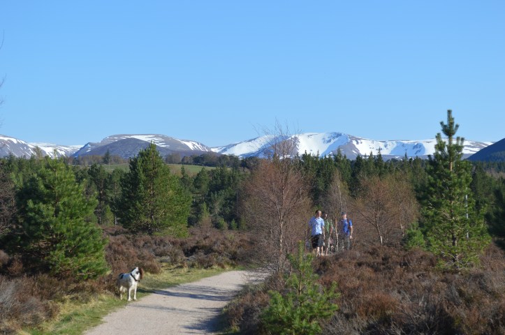 Walking on Rothiemurchus. The Cairngorm region is a great place for a staycation. Lots of family fun to do including walking, biking and horse riding.